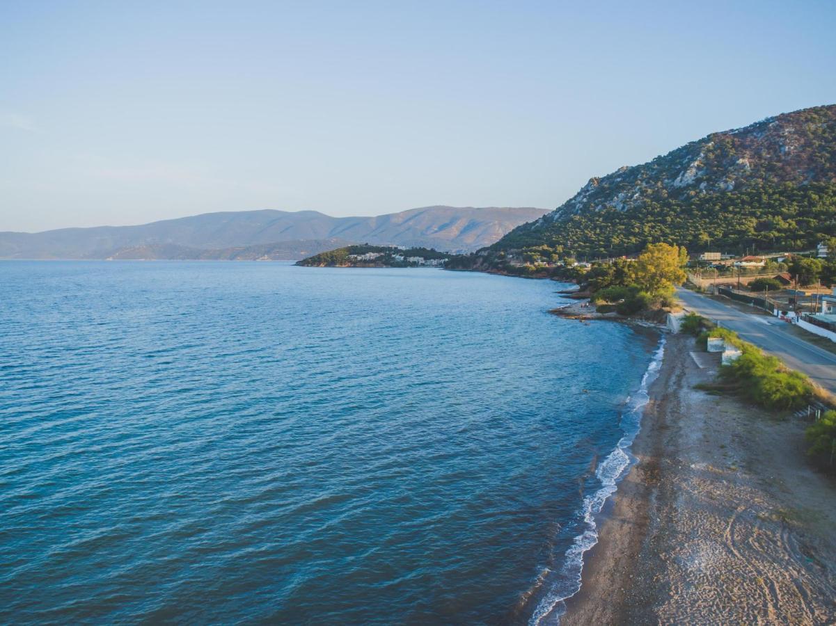 Kechries Lemoni Luxury Residence In Front Of The Sea מראה חיצוני תמונה